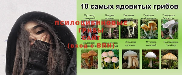 бутират Верея