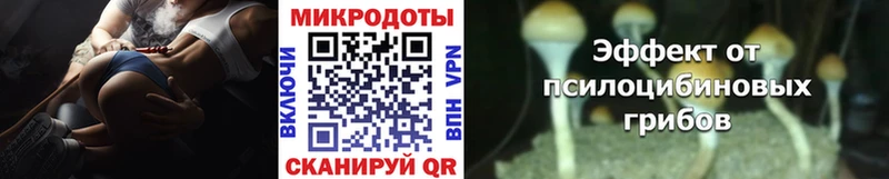 дарк нет какой сайт  Новохопёрск  Псилоцибиновые грибы мицелий  ссылка на мегу ONION 